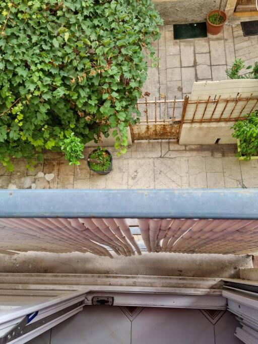 Appartement 2 Pieces 尼斯 外观 照片