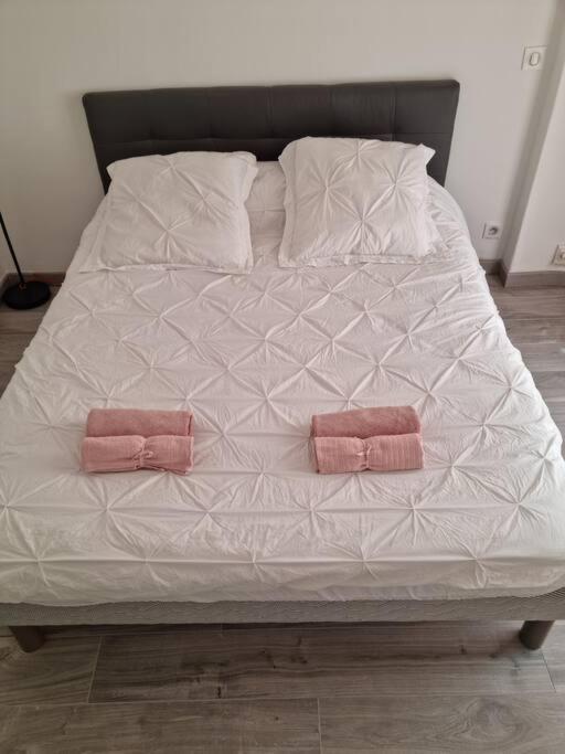 Appartement 2 Pieces 尼斯 外观 照片